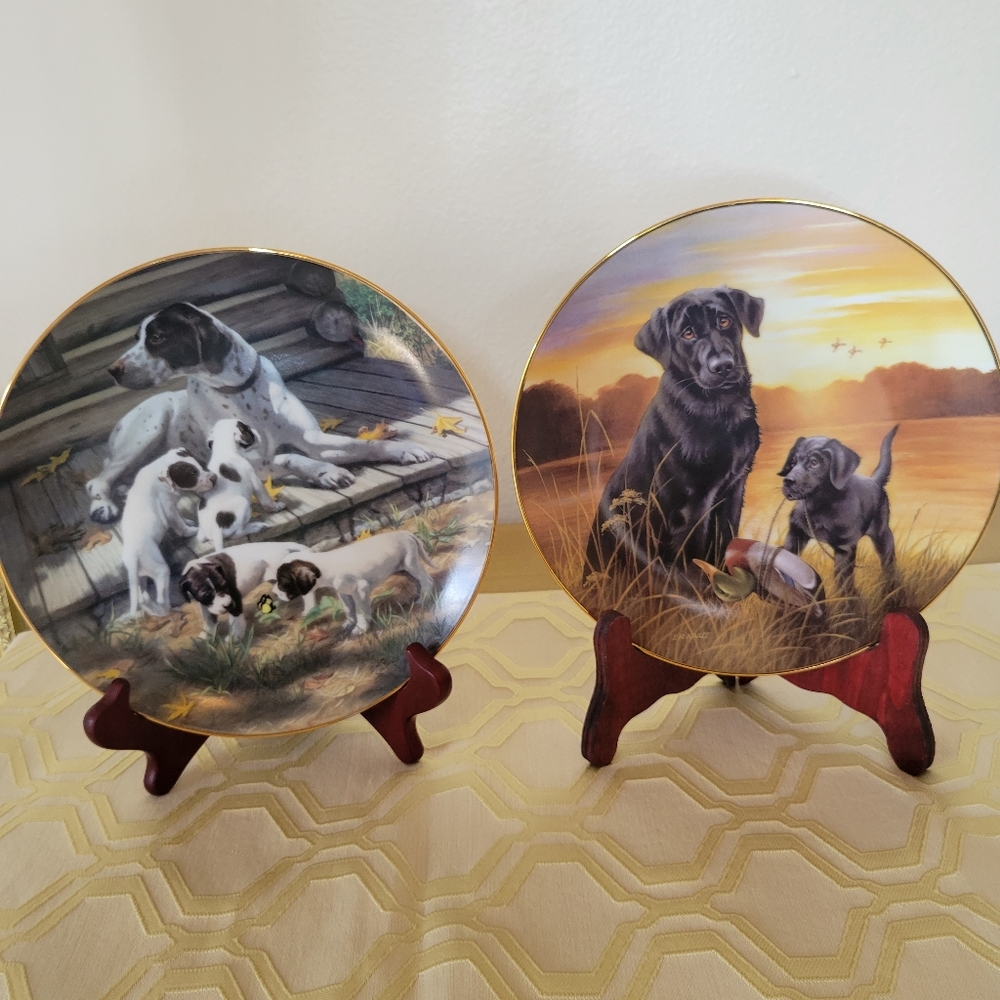 Bundle of 2 decorative collector dog plates - Pointer and Lab